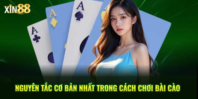 Cách chơi bài cào tại Xin88 và bí quyết cược hiệu quả để thắng lớn 3 cách chơi bài cào 3