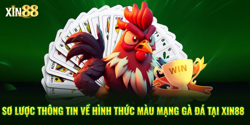 Màu mạng gà đá và cách ứng dụng ngũ hành khi đặt cược đá gà tại Xin88 2 màu mạng gà đá 2